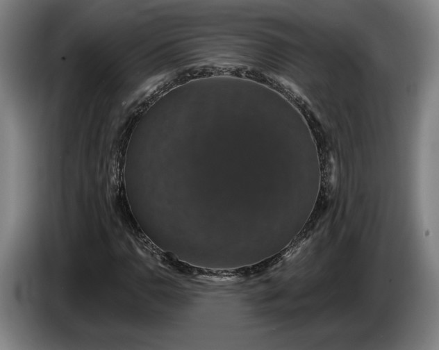 X0000087411110200705041242