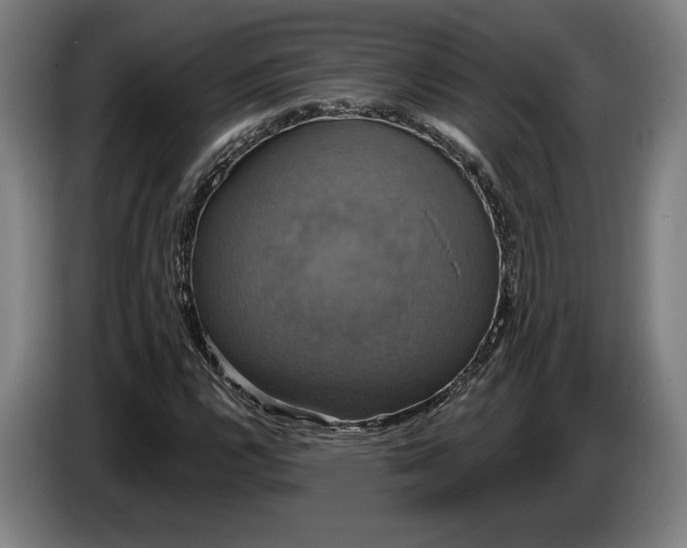 X0000087411112200705041242