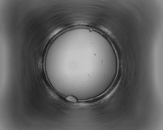 X0000087411113200705041242