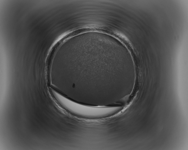 X0000087411114200705041242