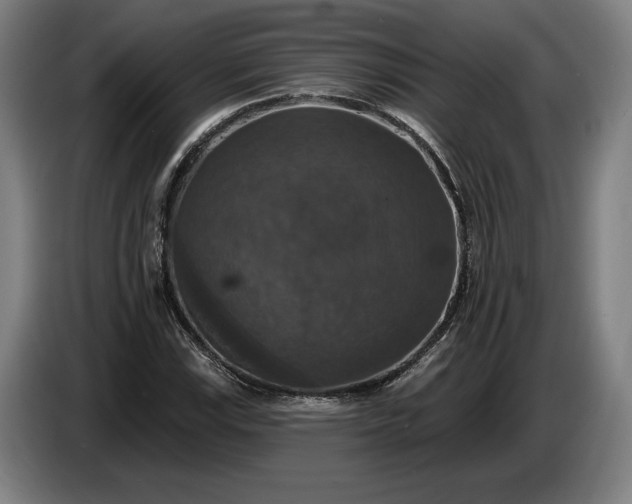 X0000087411115200705041242