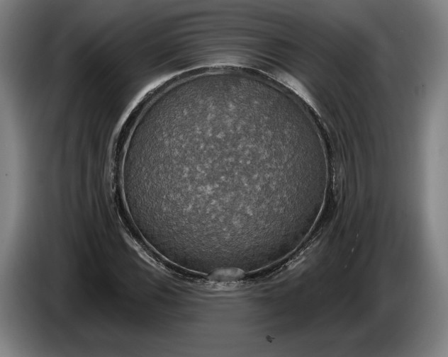 X0000087411116200705041242