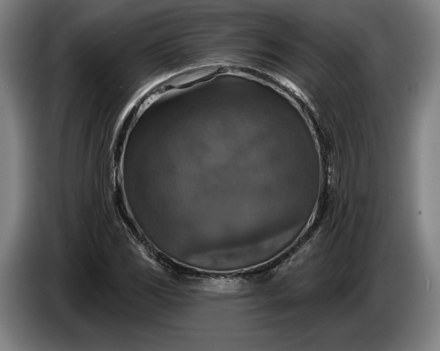 X0000087411117200705041242