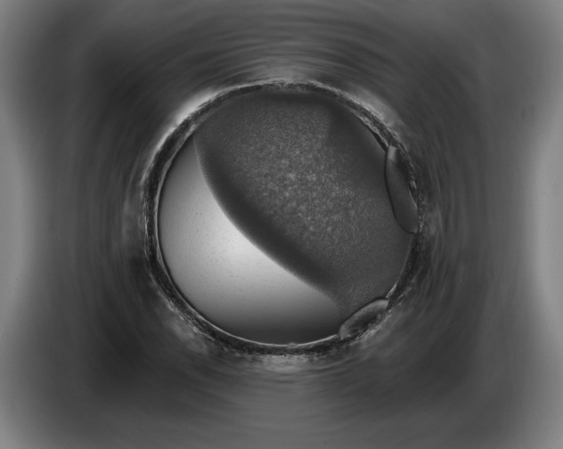 X0000087411118200705041242