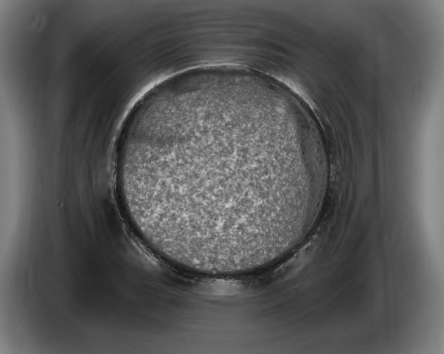 X0000087411119200705041242