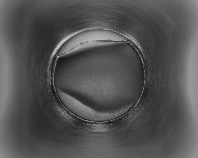 X0000087411120200705041242
