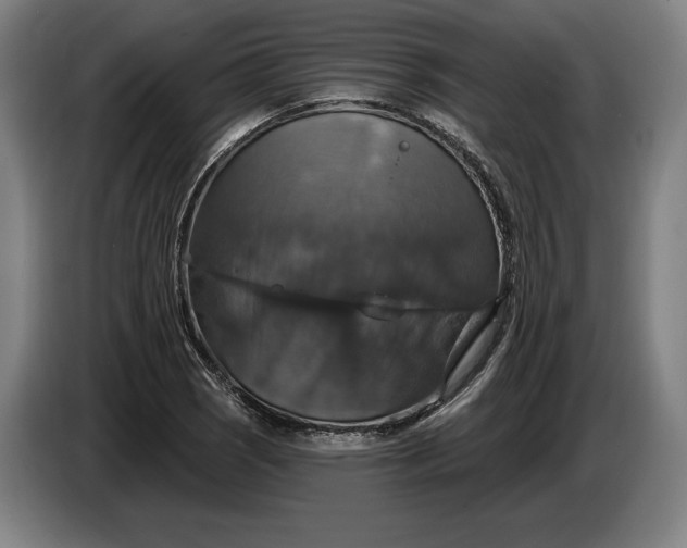 X0000087411121200705041242