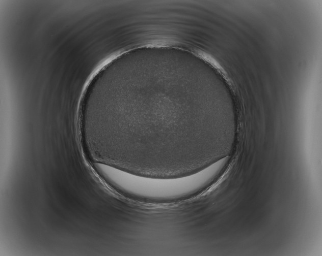 X0000087411122200705041242