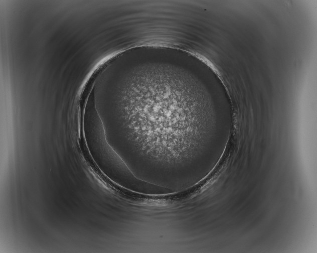 X0000087411123200705041242