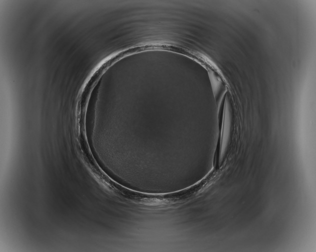 X0000087411124200705041242
