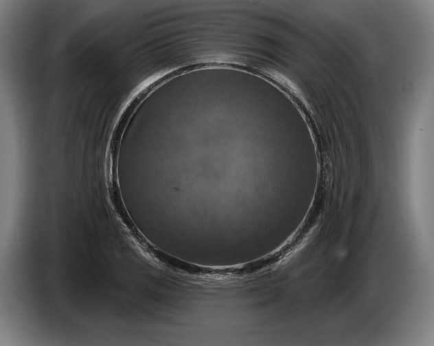X0000087411125200705041242