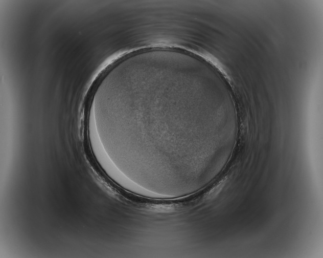 X0000087411126200705041242