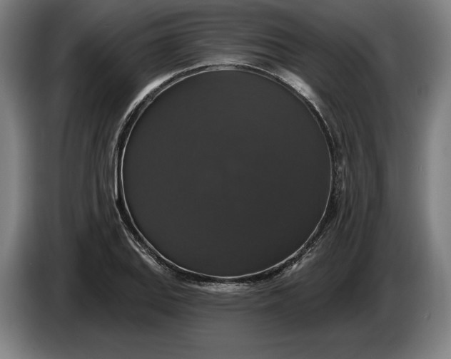 X0000087411127200705041242