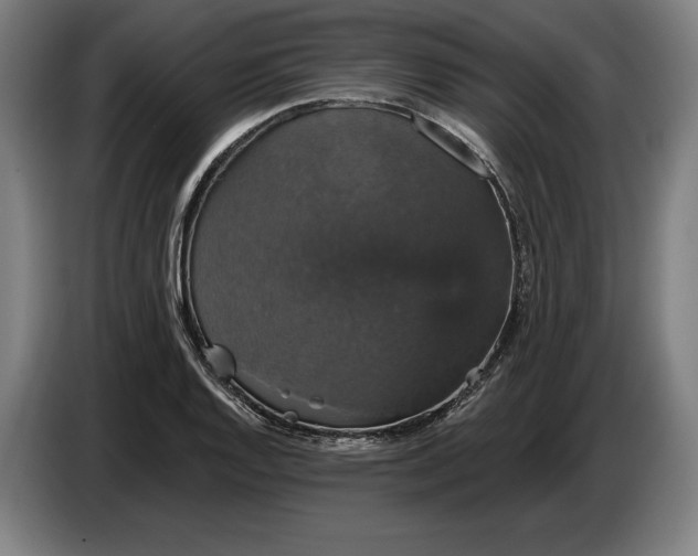 X0000087411128200705041242