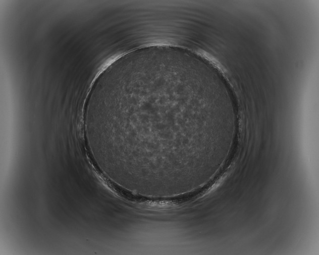 X0000087411129200705041242