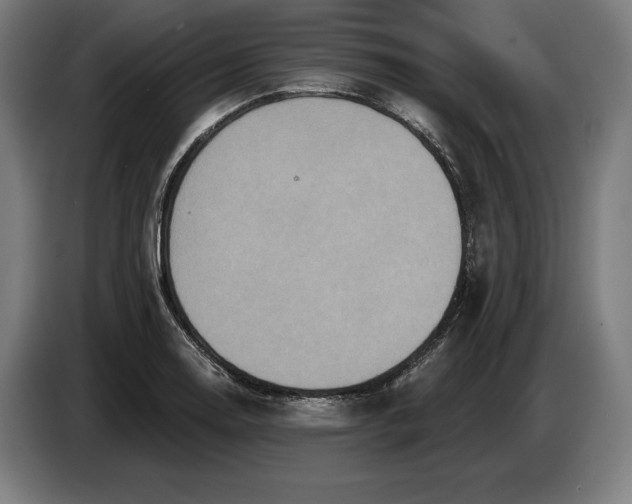 X0000087411130200705041242