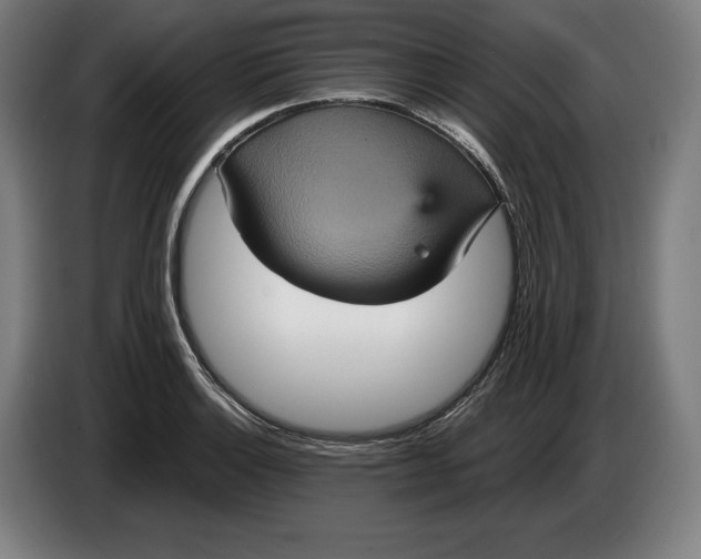 X0000087411132200705041242