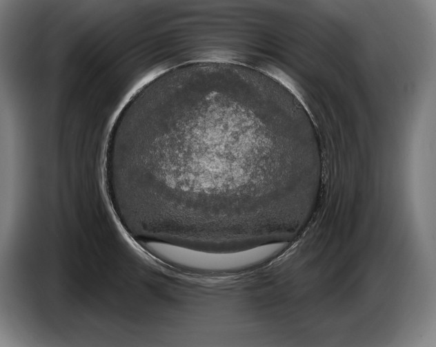 X0000087411139200705041243