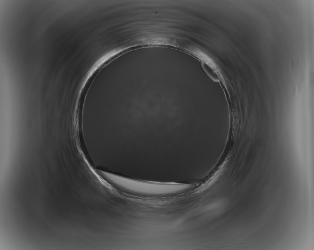 X0000087411141200705041243