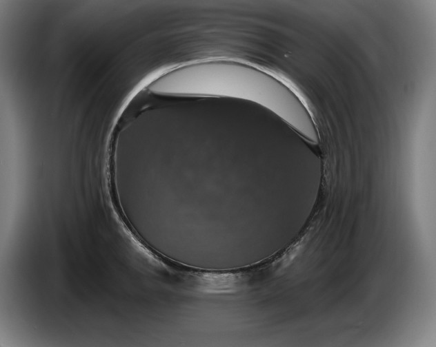 X0000087411142200705041243