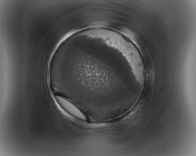 X0000087411143200705041243