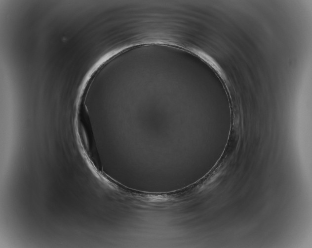 X0000087411144200705041243