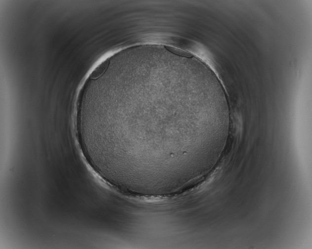 X0000087411147200705041243