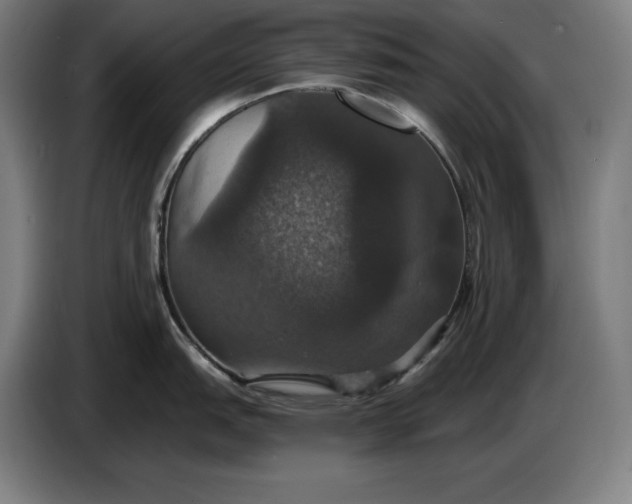 X0000087411151200705041243