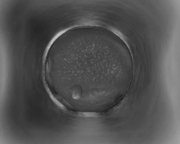 X0000087411152200705041243