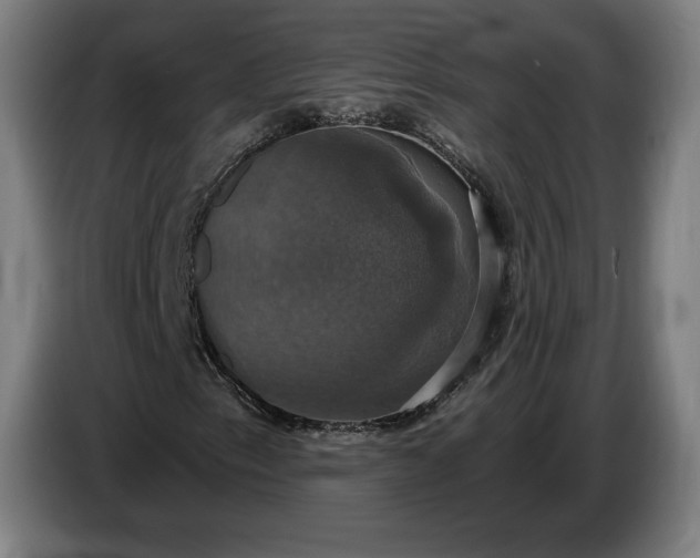 X0000087411153200705041242