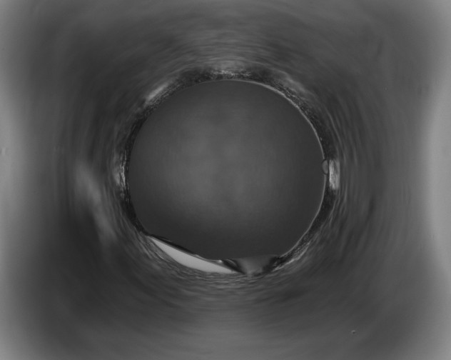 X0000087411155200705041242