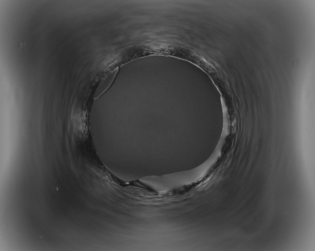 X0000087411156200705041242
