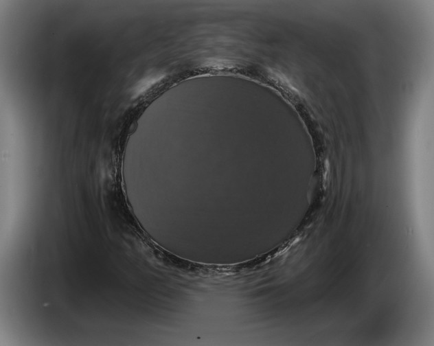X0000087411158200705041242