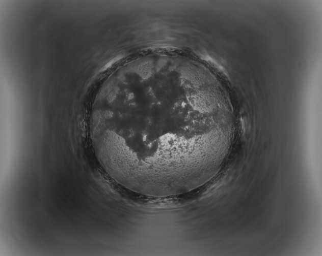 X0000087411159200705041242