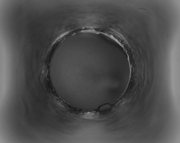 X0000087411160200705041242