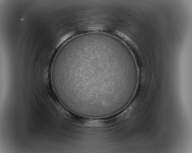 X0000087411162200705041242