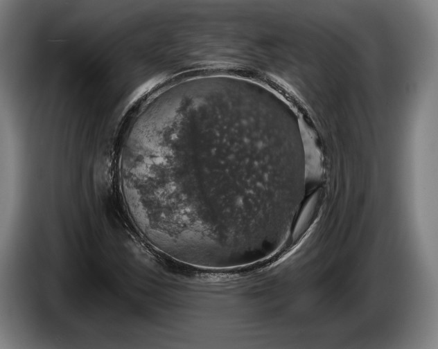 X0000087411163200705041242