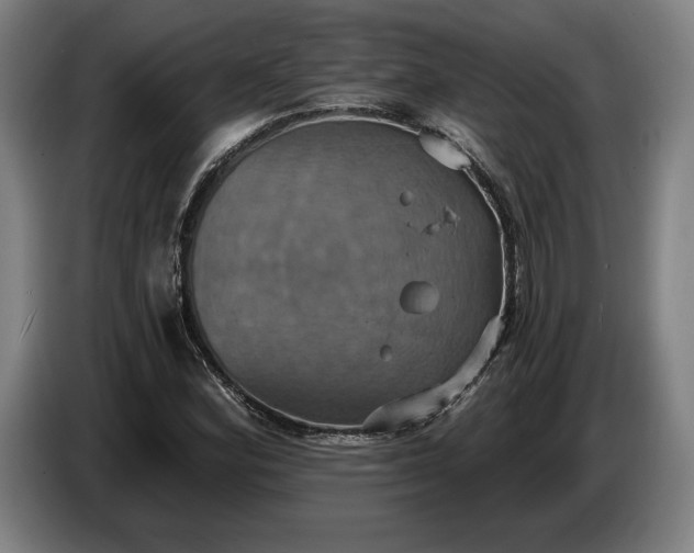 X0000087411164200705041242