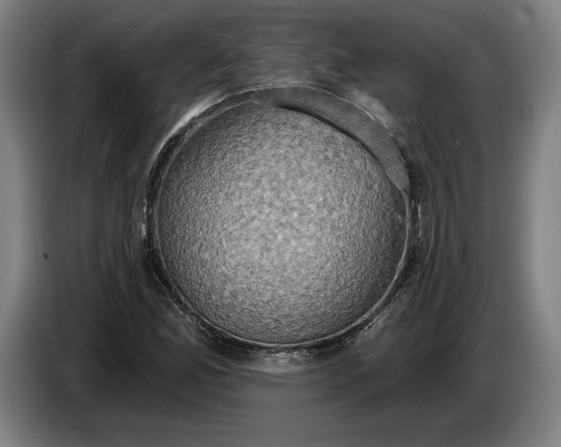 X0000087411165200705041242