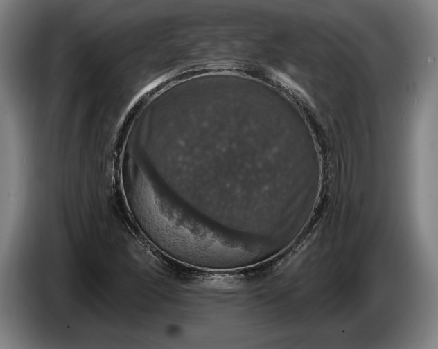 X0000087411166200705041242