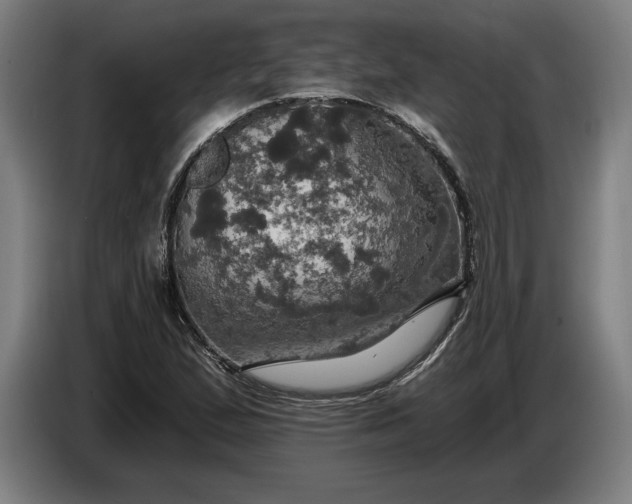 X0000087411167200705041242