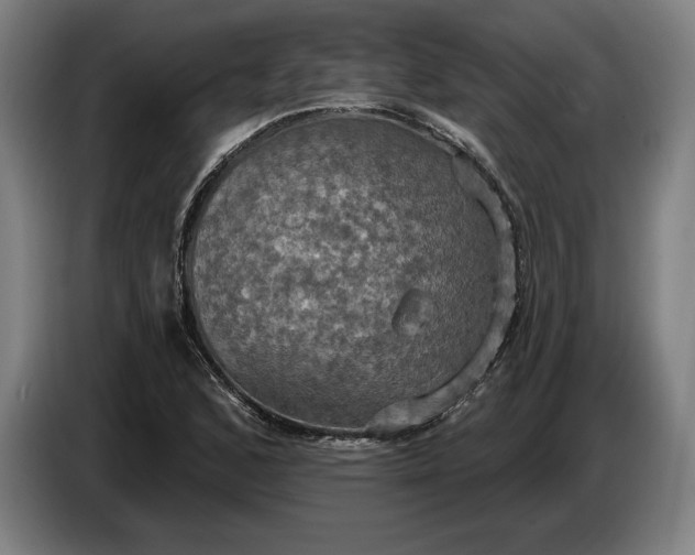 X0000087411168200705041242