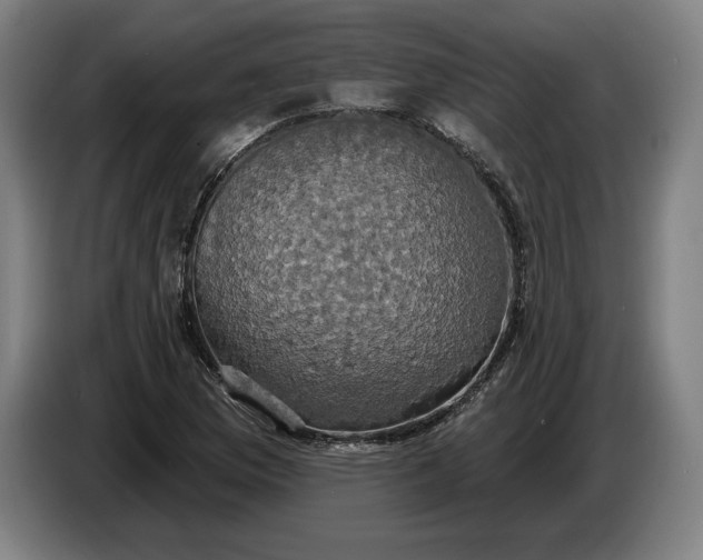 X0000087411169200705041242