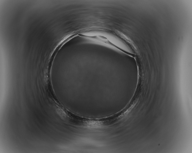 X0000087411170200705041242