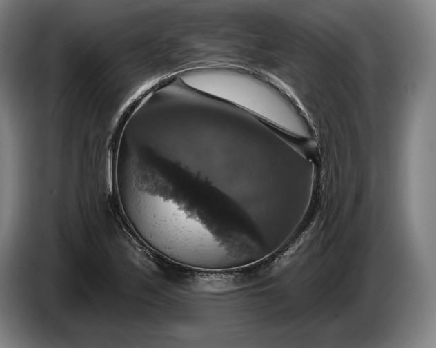 X0000087411171200705041242