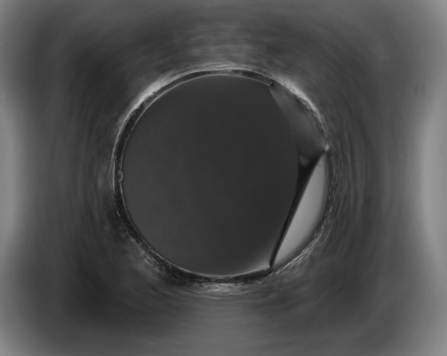 X0000087411173200705041242
