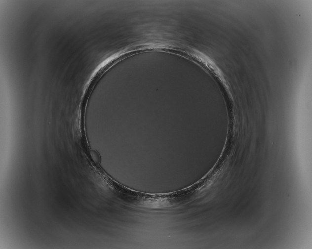 X0000087411174200705041242