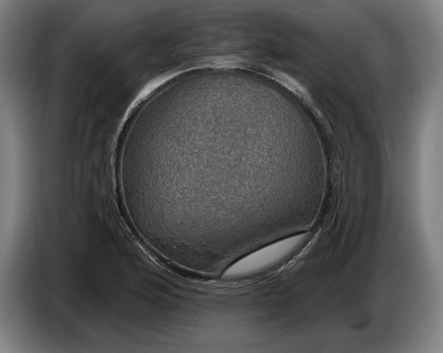 X0000087411176200705041242