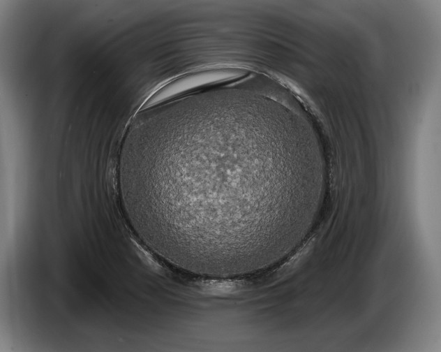 X0000087411177200705041242