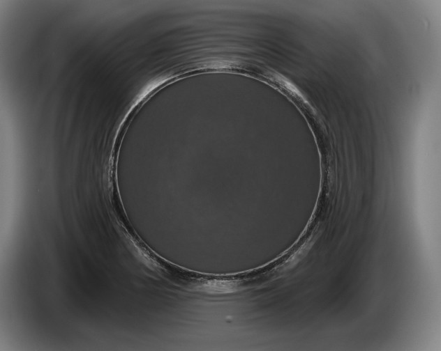 X0000087411178200705041242